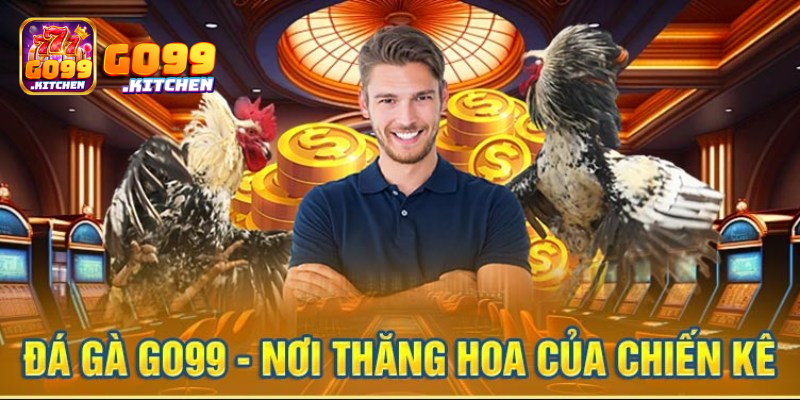 Hướng dẫn tham gia đặt cược đá gà tại GO99