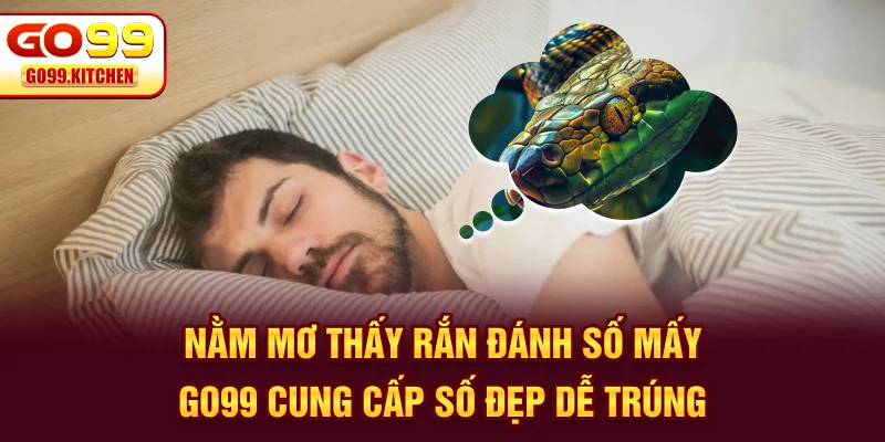Nằm Mơ Thấy Rắn Đánh Số Mấy - GO99 Cung Cấp Số Đẹp Dễ Trúng