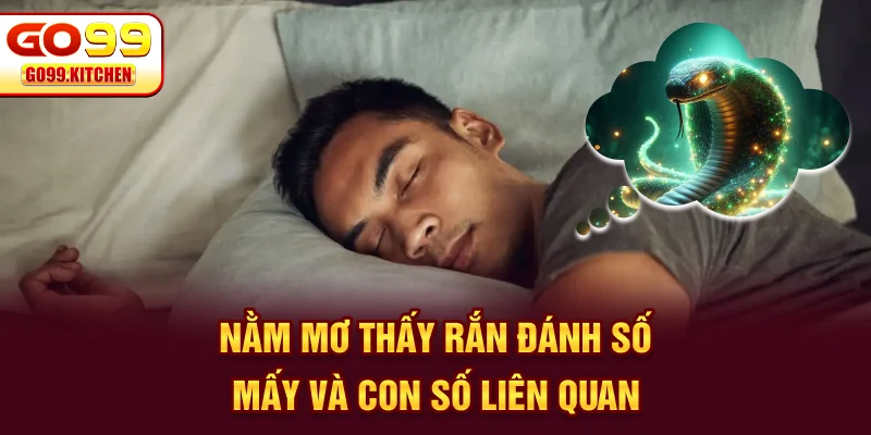 Nằm mơ thấy rắn đánh số mấy và con số liên quan